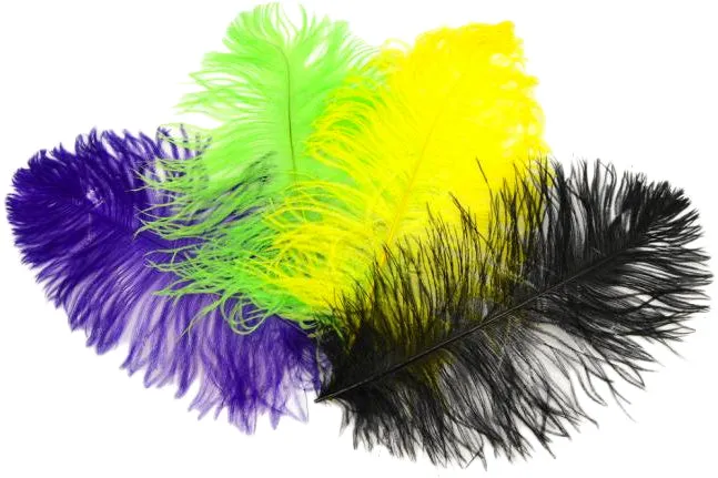 15" Ostrich Feather: Black