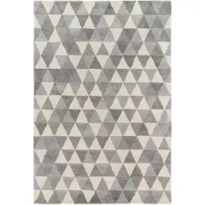 Brilliance Light Gray/Charcoal/Gray Area Rug