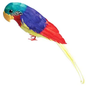 Feather Parrots